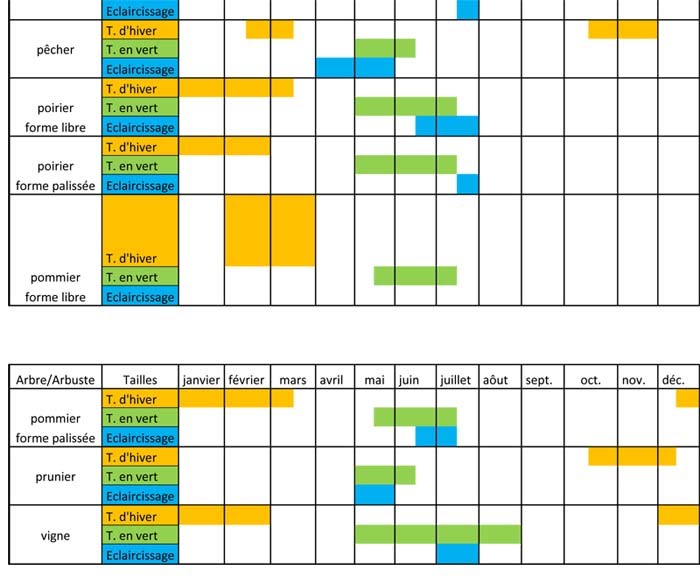 Calendrier De Traitement Des Arbres Fruitiers Pdf